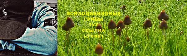mdpv Алексин
