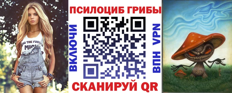 купить наркотики цена  blacksprut   Псилоцибиновые грибы мухоморы  Палласовка 